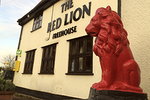 red-lion-close-up-small